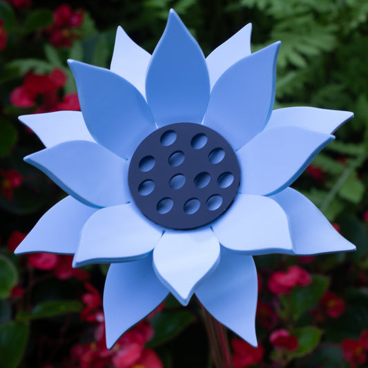 Pastel Blue Sunflower