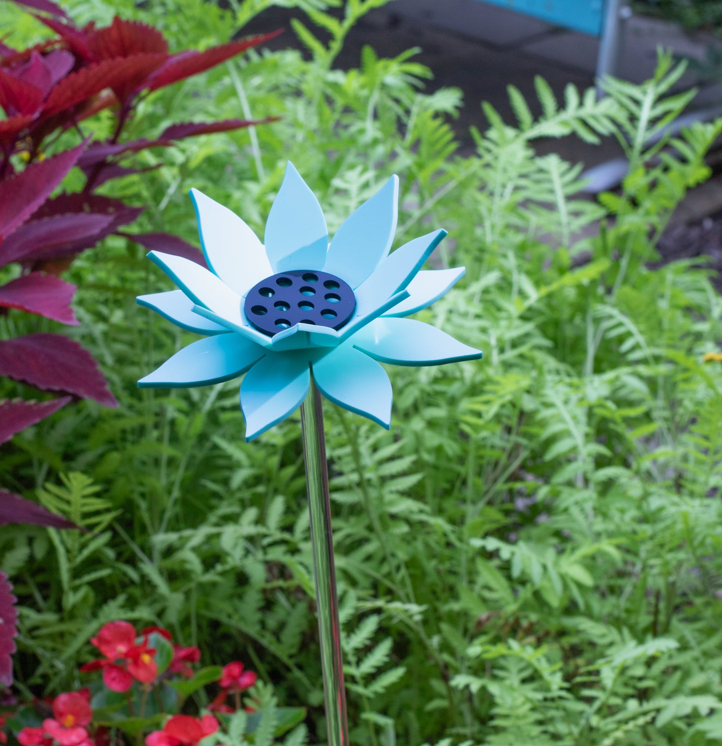 Pastel Teal Sunflower